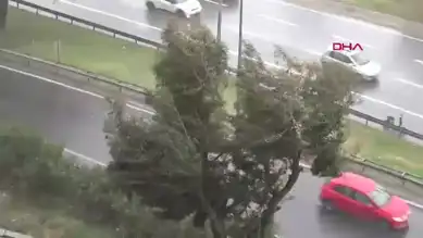 Ege Bölgesi'nde Şiddetli Yağışlar